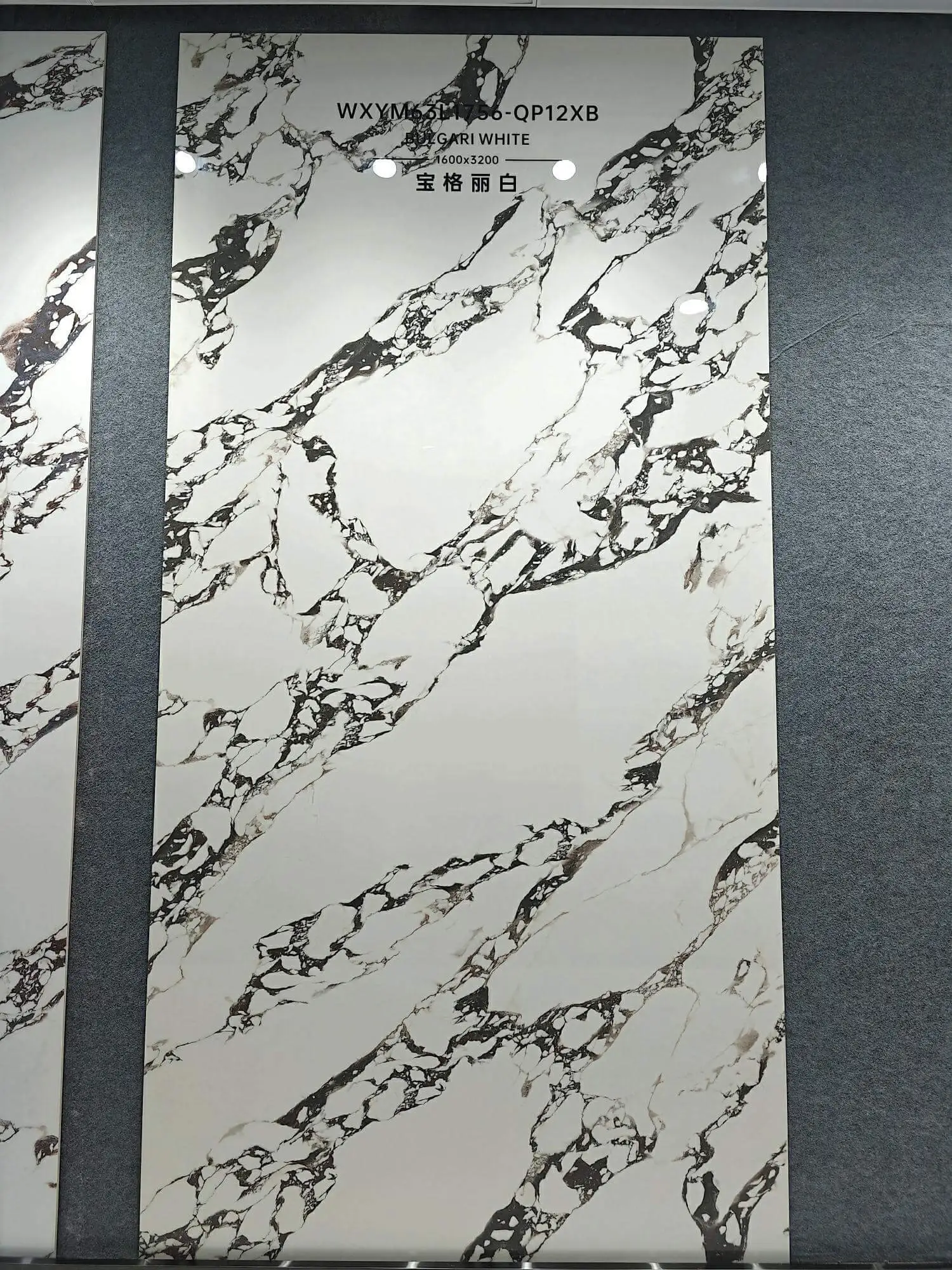 1756 | 1600x3200mm | glossy 1