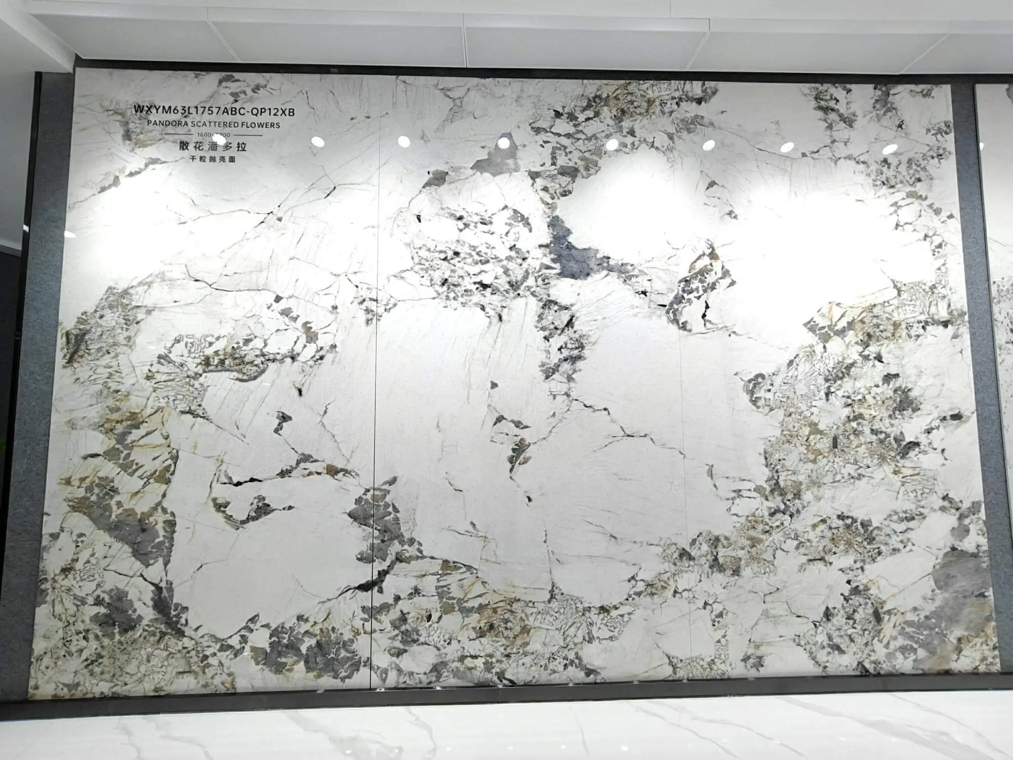 1757 | 1600x3200mm | glossy 1