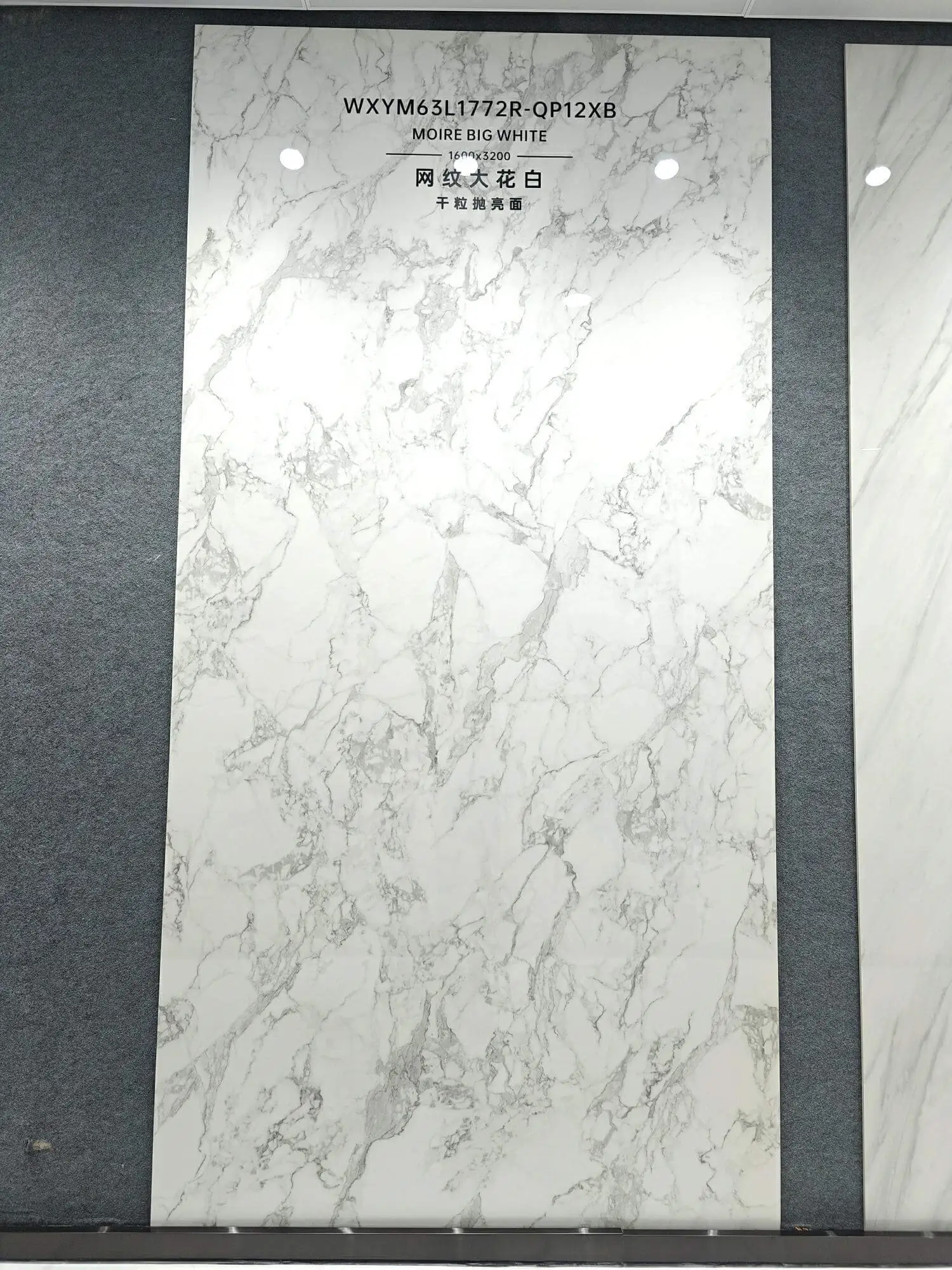 1772 | 1600x3200mm | glossy 1