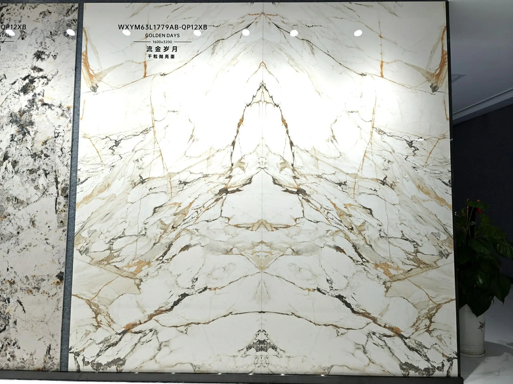 1779 | 1600x3200mm | glossy 1