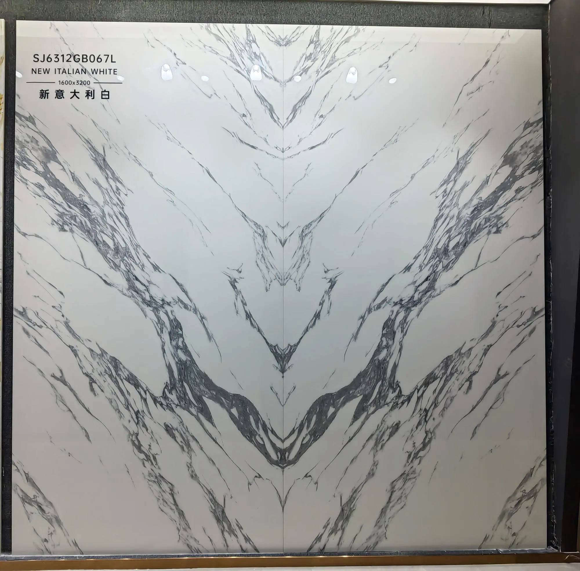 B067L | 1600x3200mm | glossy 1