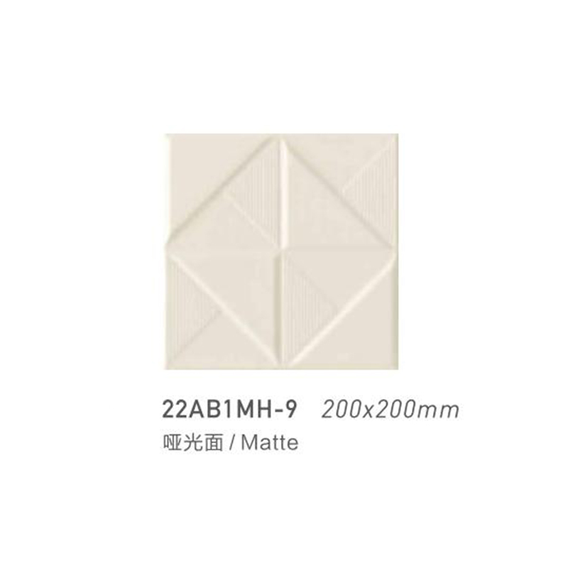 22AW1MH-9 | 200 x 200 mm | Mat 2