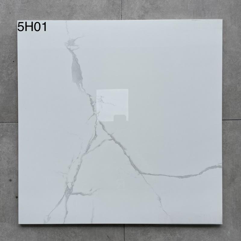 5H09 | 600x600mm | Glossy 2