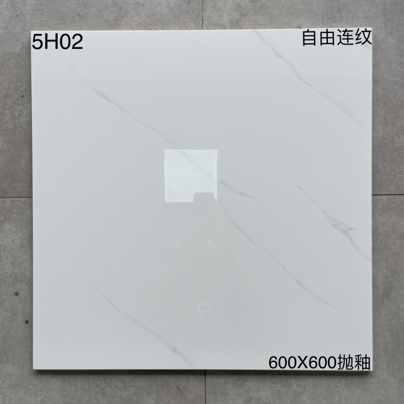 5H08 | 600x600 مم | لامع 2