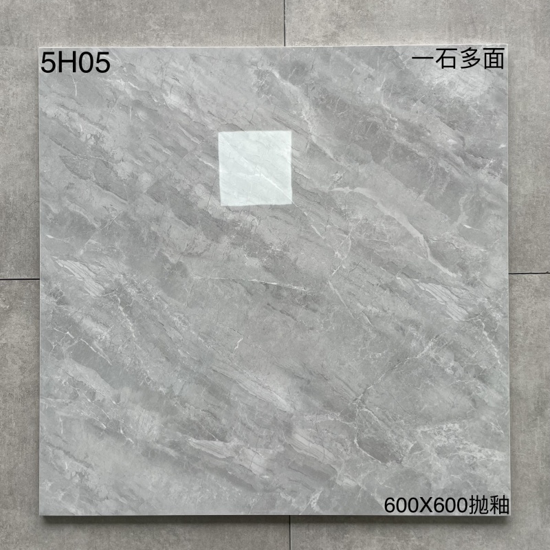 5H11 | 600 x 600 mm | Brillant 2