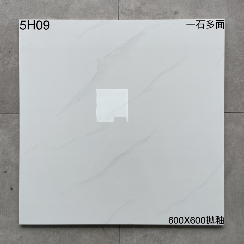 5H09 | 600x600mm | Glossy 1