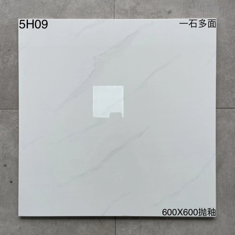 5H09 | 600 x 600 mm | Brillant 1