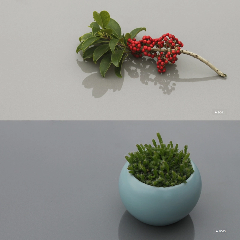 Pure Colors Collection | Three sizes | Polished Unglazed 1