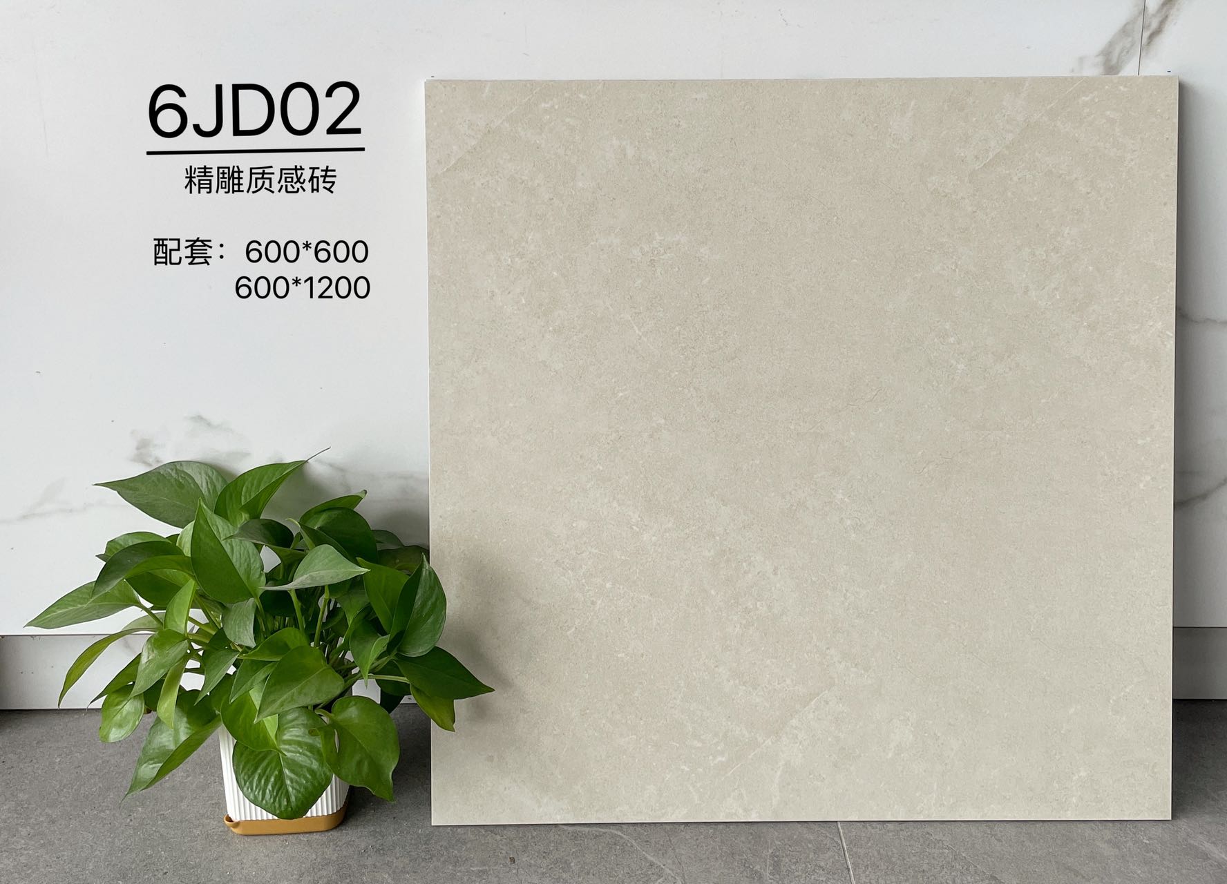 6JD02 | Deux formats | Carrelage rustique 1