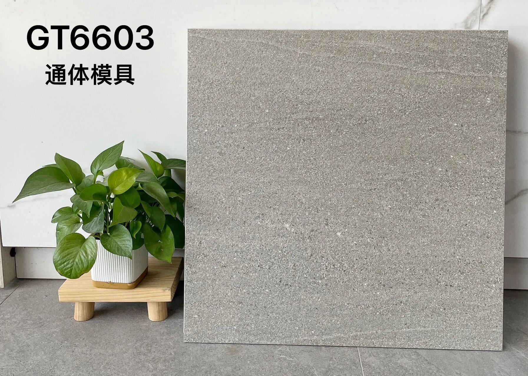 GT6603 | 600x600 мм | Плитка в деревенском стиле 1