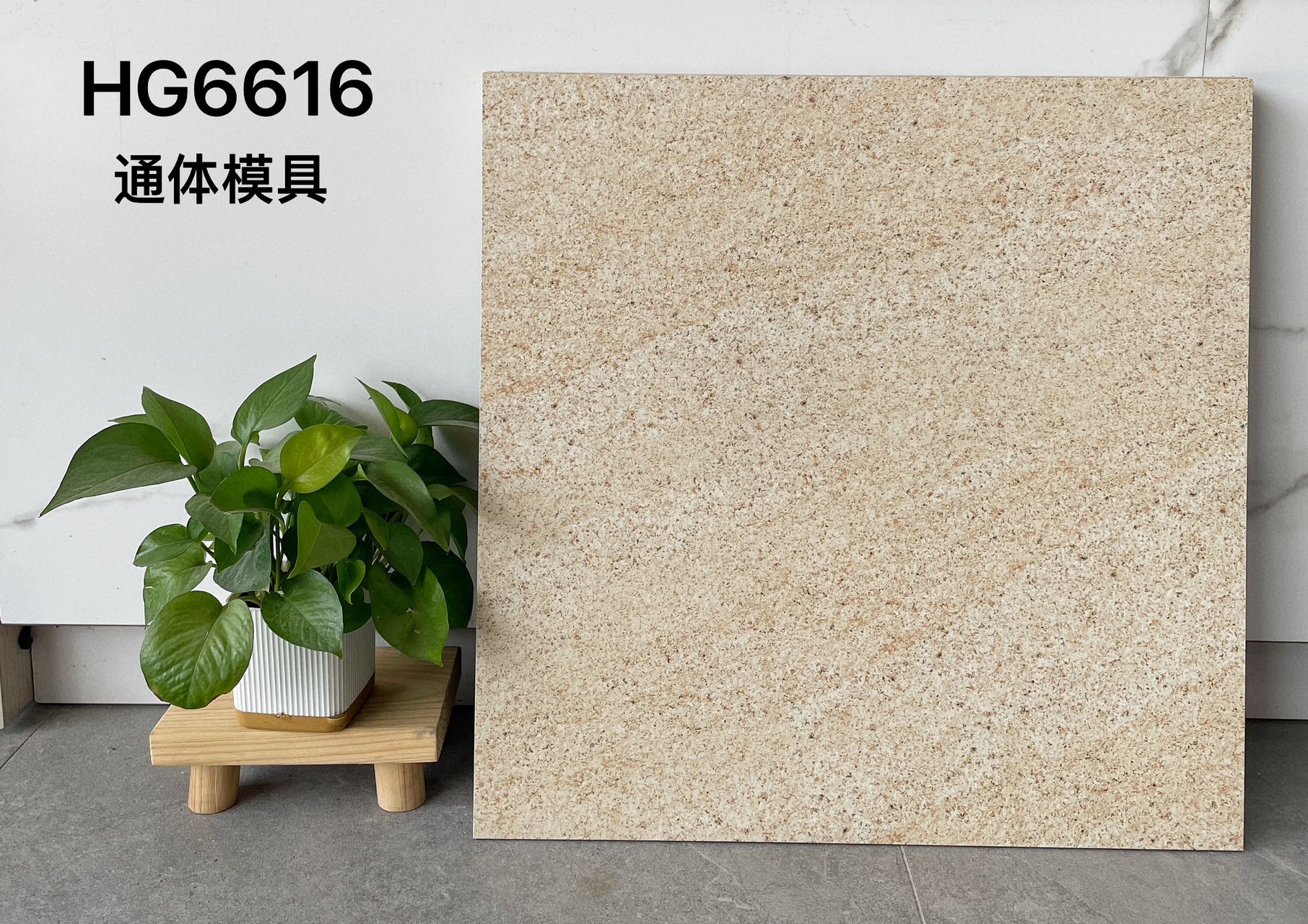 HG6618 | 600x600 مم | بلاط ريفي 2