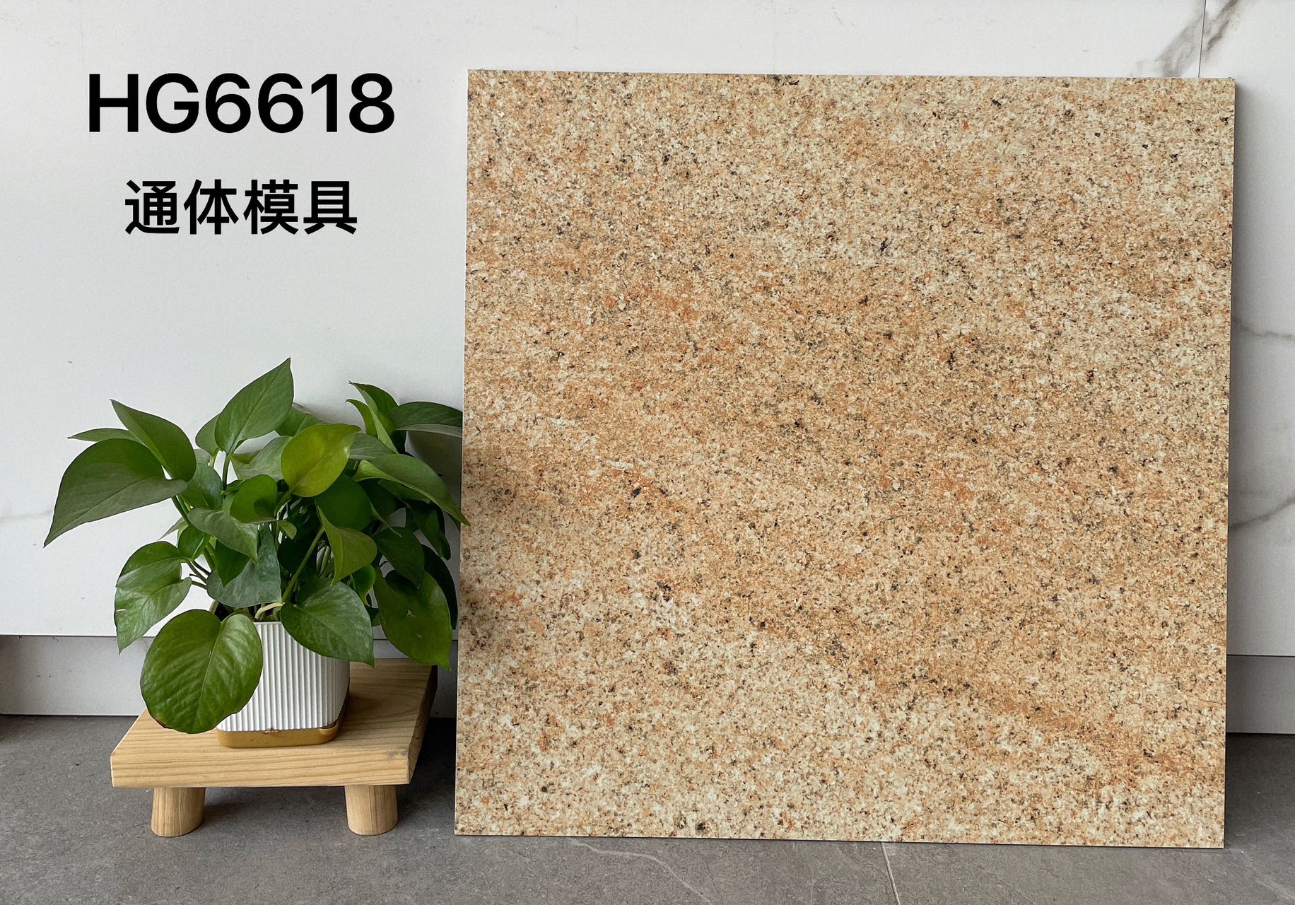 HG6618 | 600x600 مم | بلاط ريفي 1