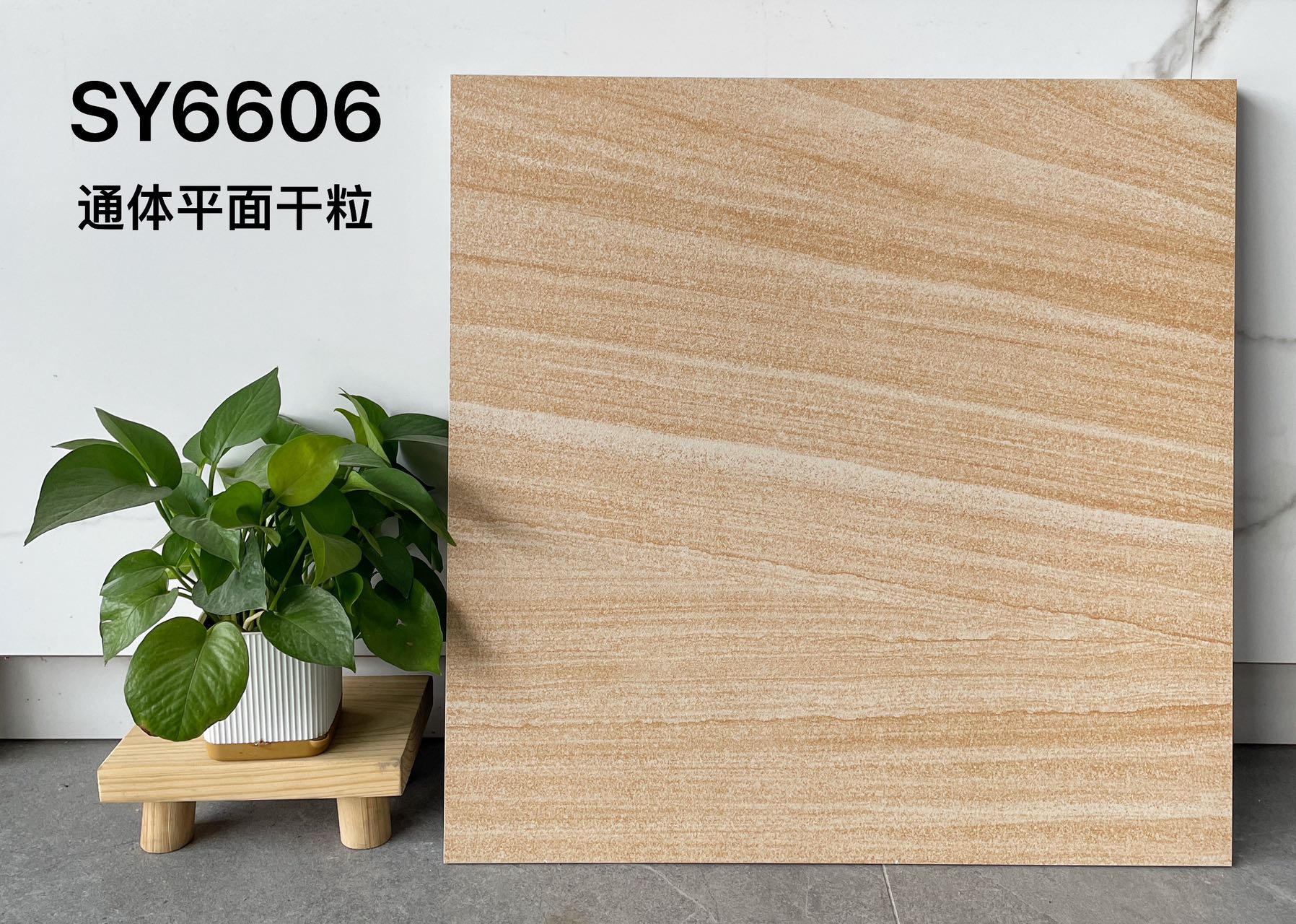 SY6623 | 600x600 مم | بلاط ريفي 2