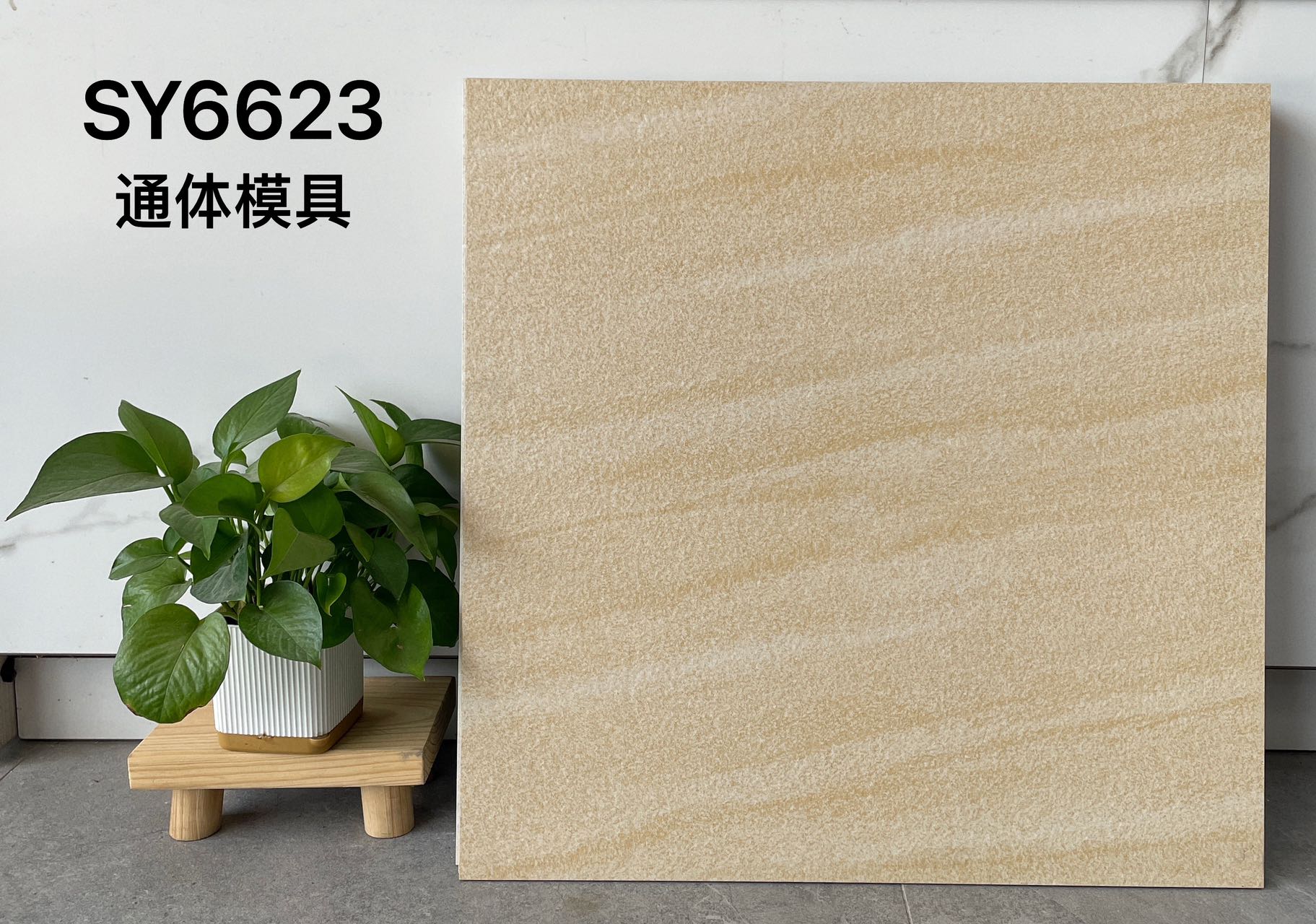 SY6623 | 600x600 مم | بلاط ريفي 1