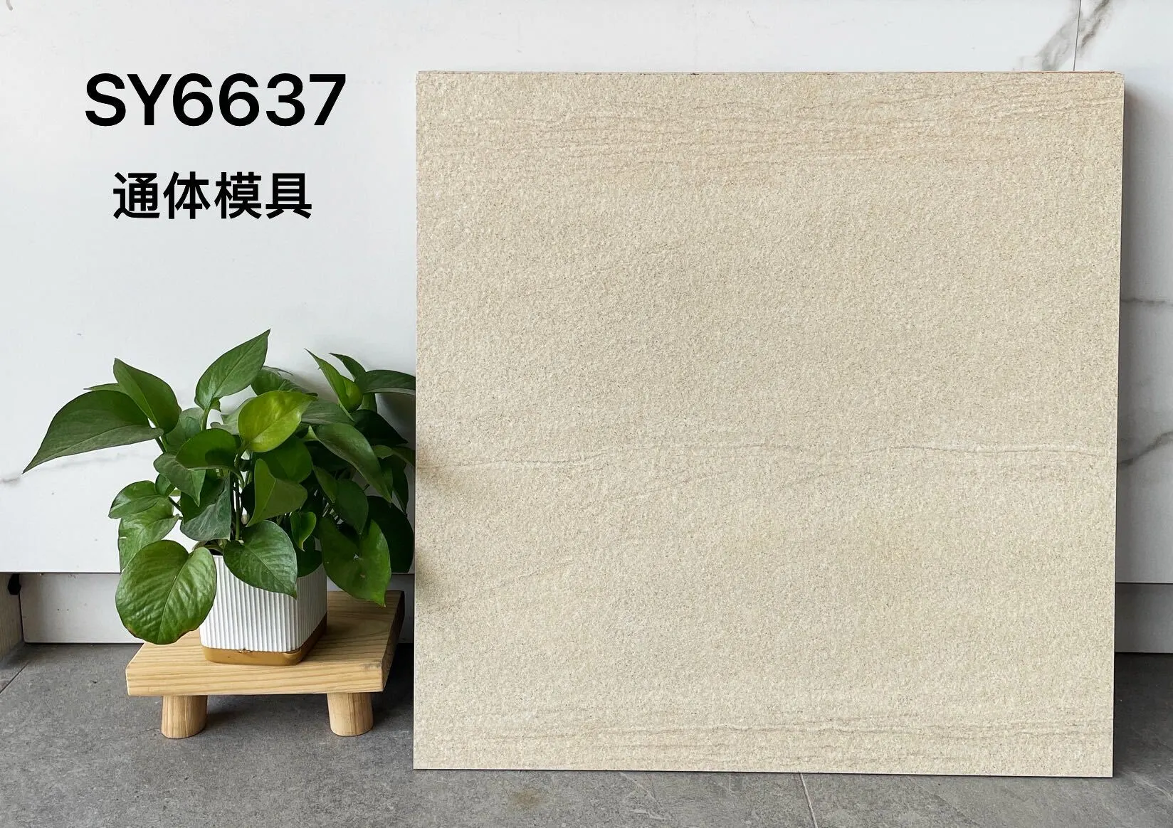 SY6637 | 600 x 600 mm | Carrelage rustique 1