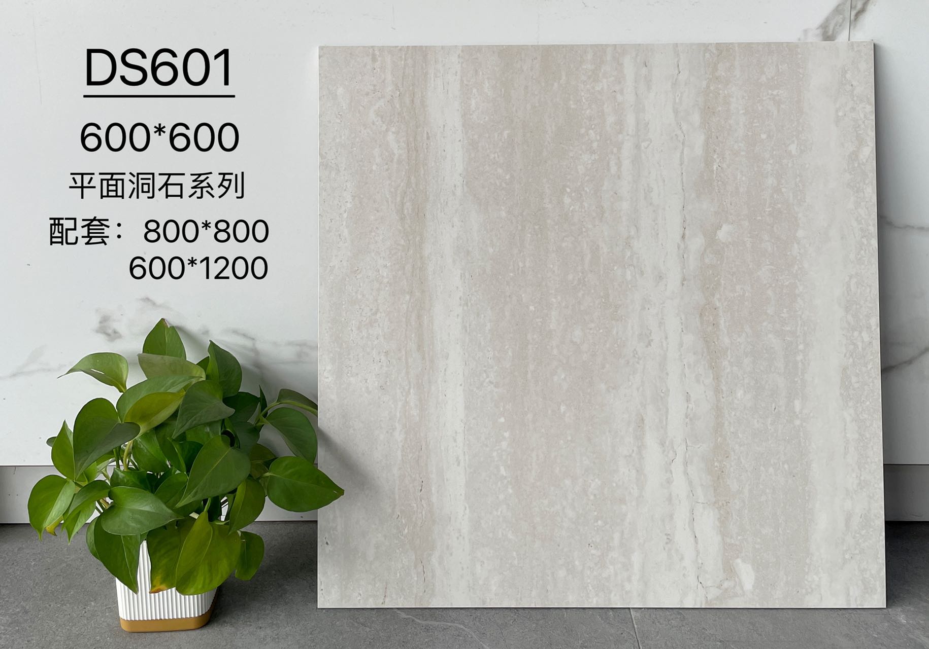 DS603 | Trois formats | Carrelage rustique 3