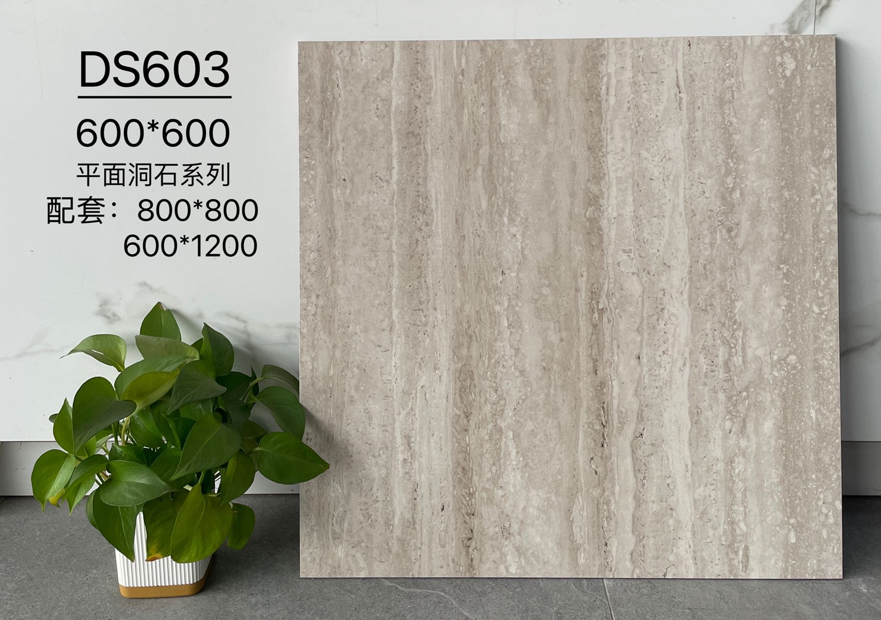 DS603 | Trois formats | Carrelage rustique 1