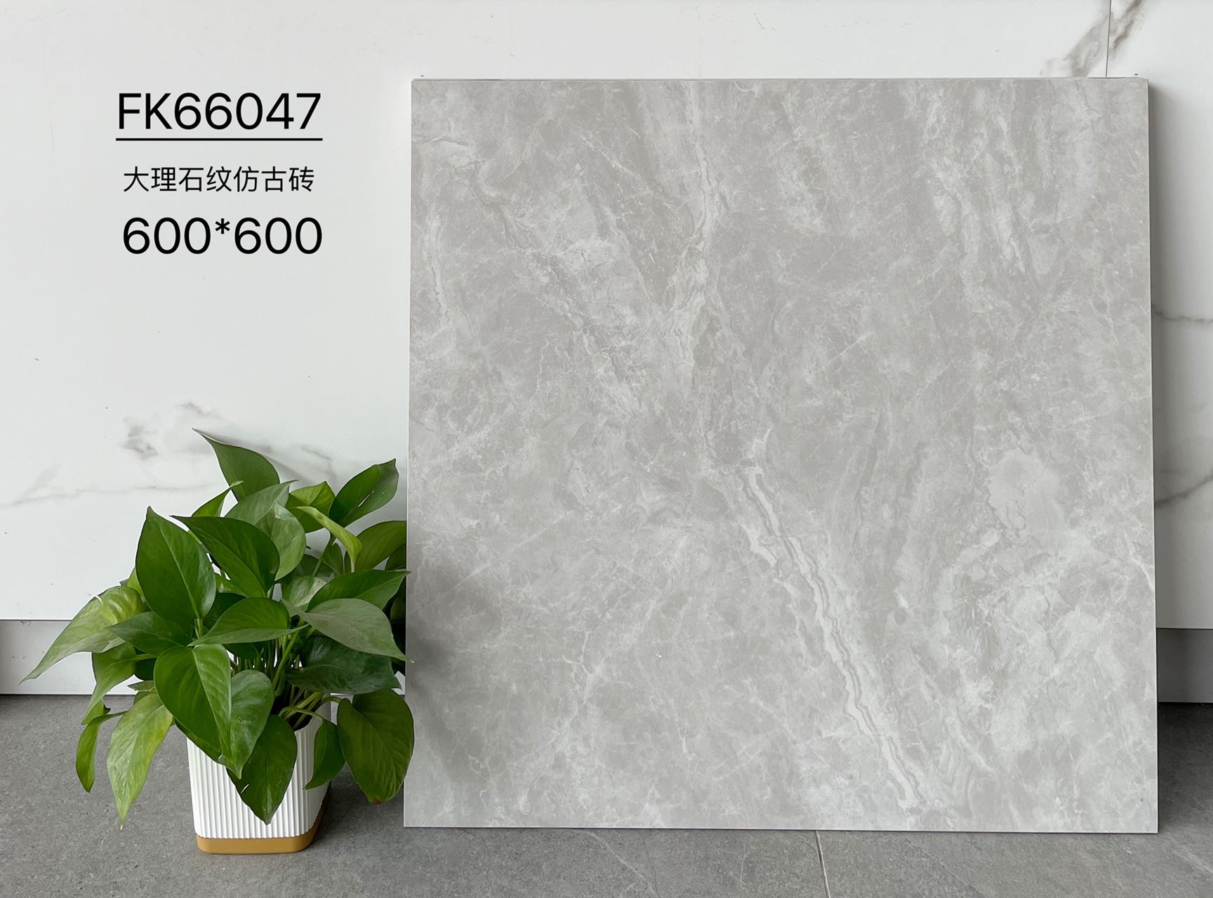 FK66047 | 600x600 مم | بلاط ريفي 1