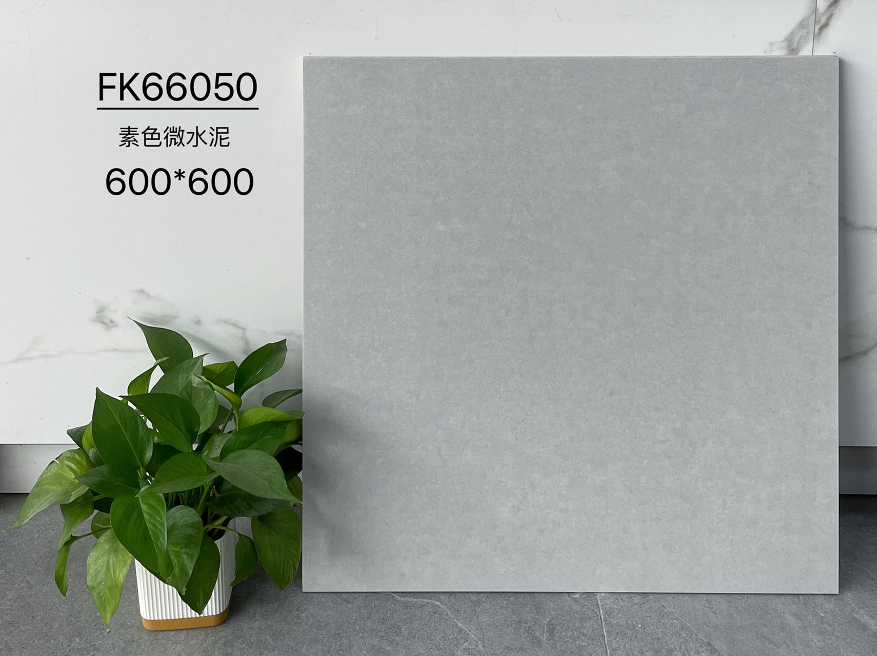 FK66050 | 600 x 600 mm | Carrelage rustique 1