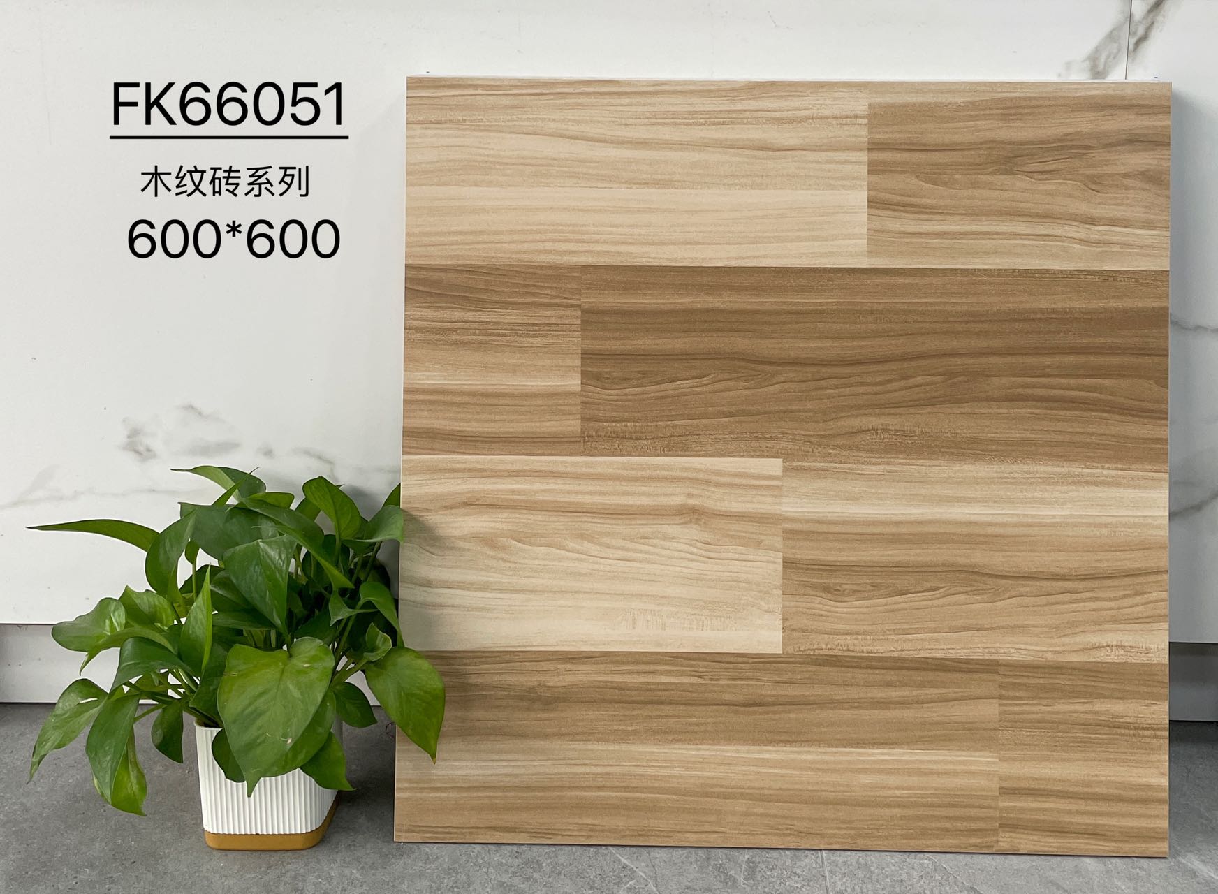 FK66051 | 600x600 مم | بلاط ريفي 1