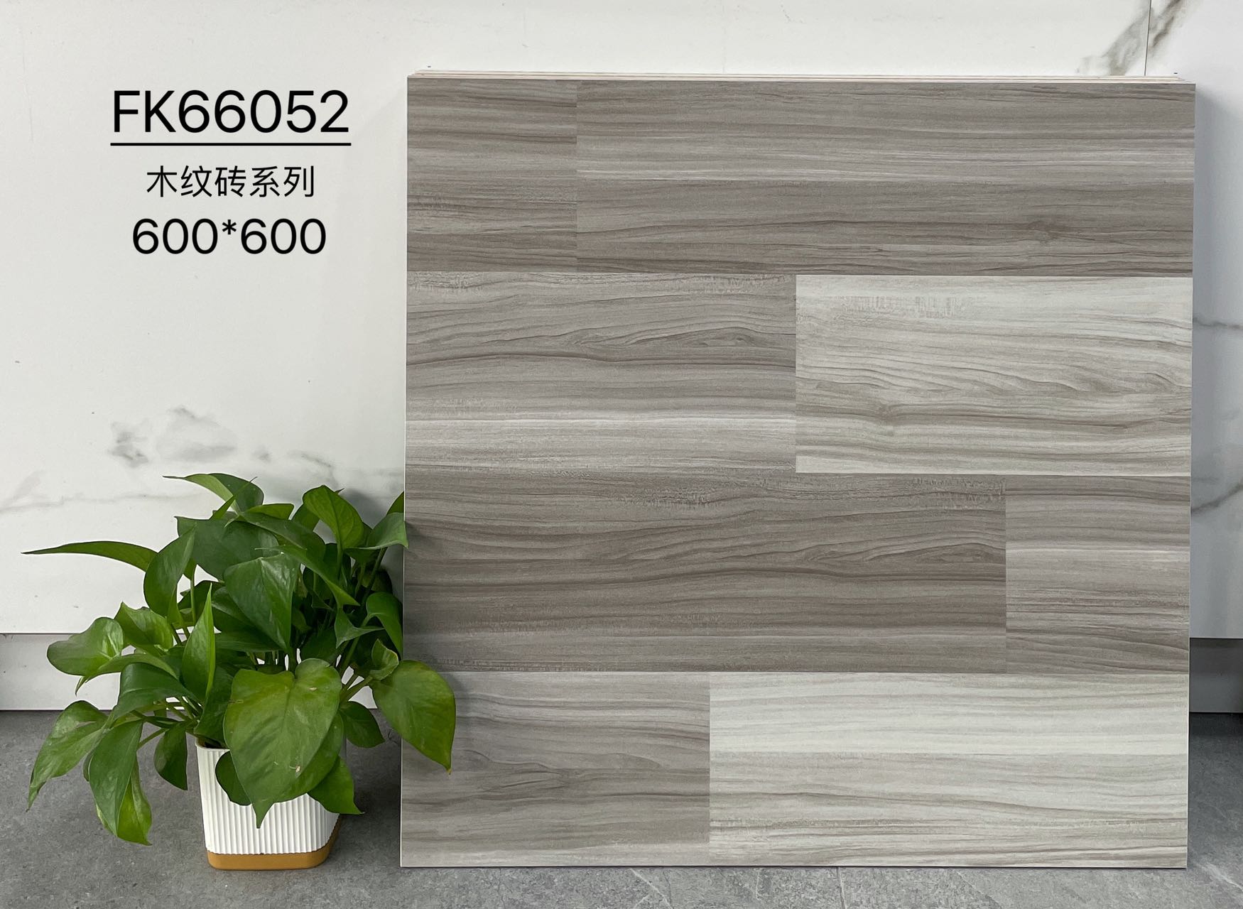 FK66051 | 600x600 مم | بلاط ريفي 2