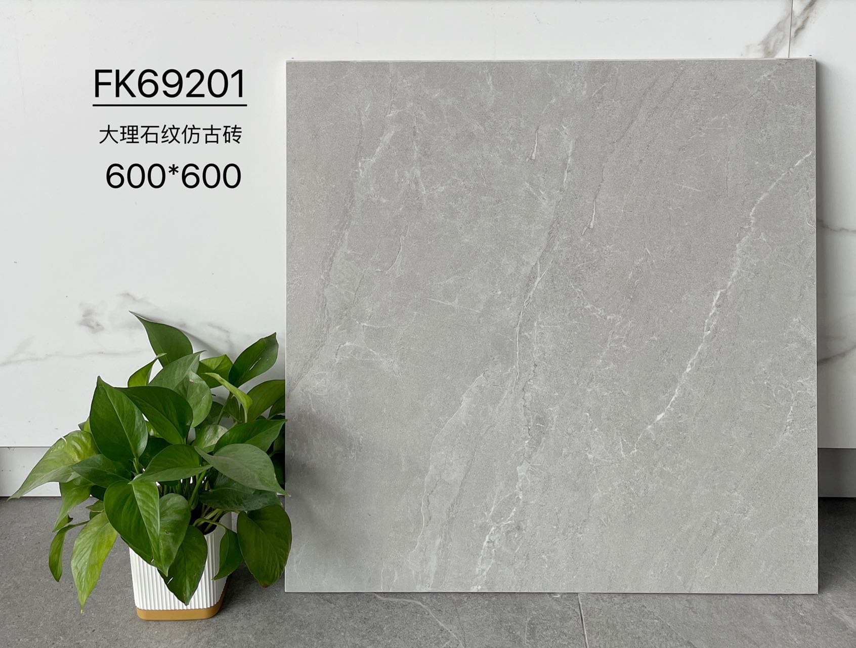 FK69201 | 600x600 مم | بلاط ريفي 1