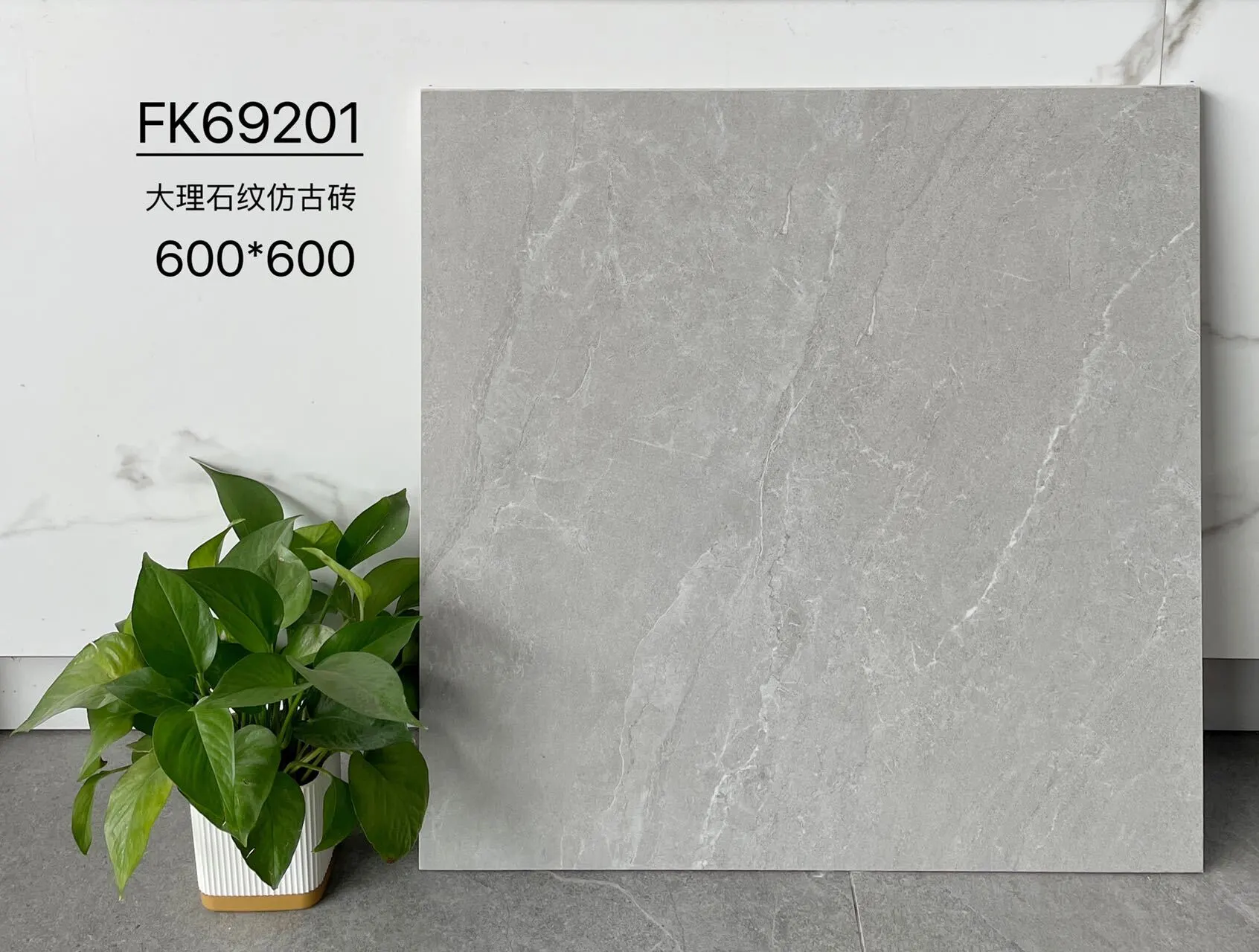 FK69201 | 600x600 мм | Плитка в деревенском стиле 1