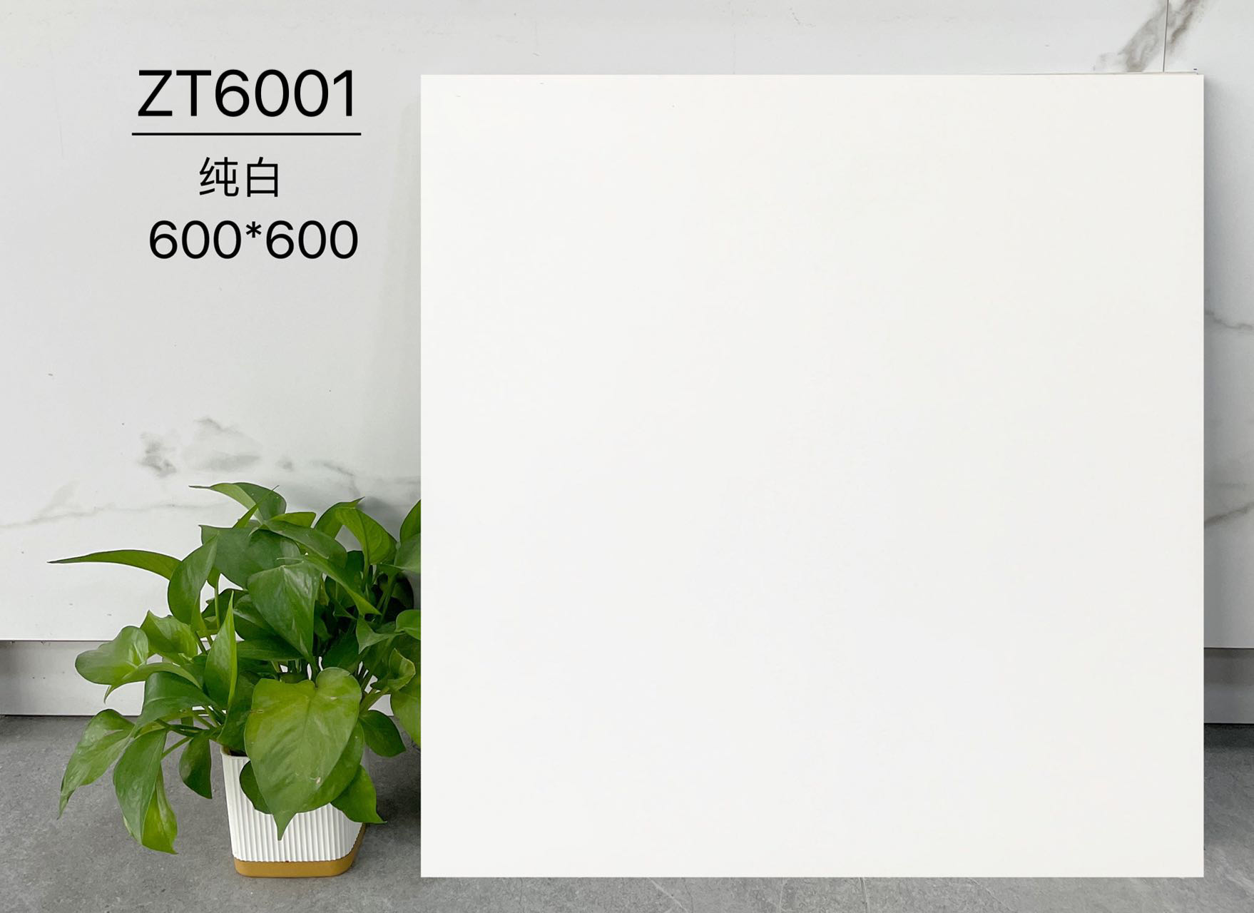 ZT6001 | 600x600mm |  Rustic Tile 1