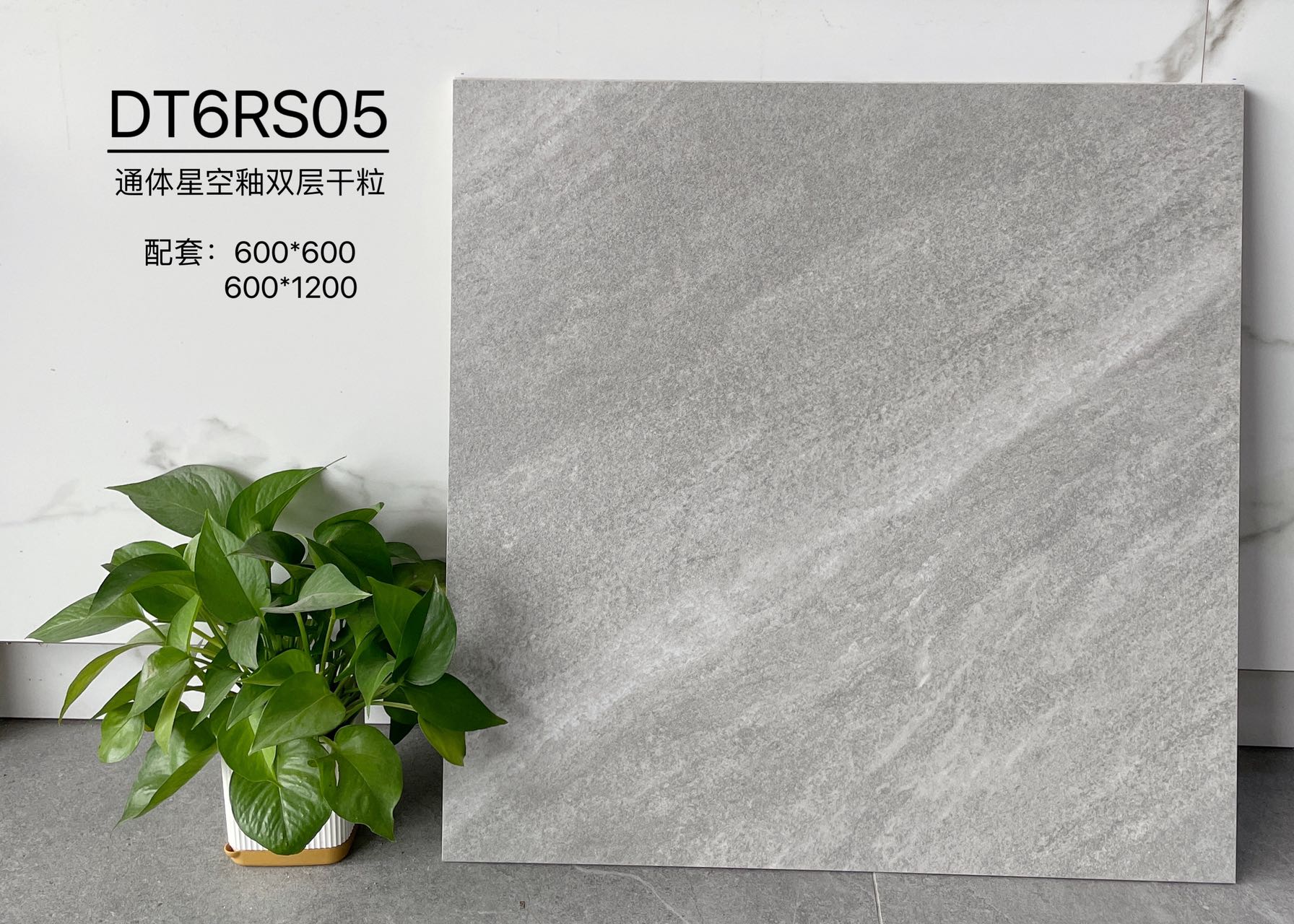DT6RS05 | Deux formats | Carrelage rustique 1