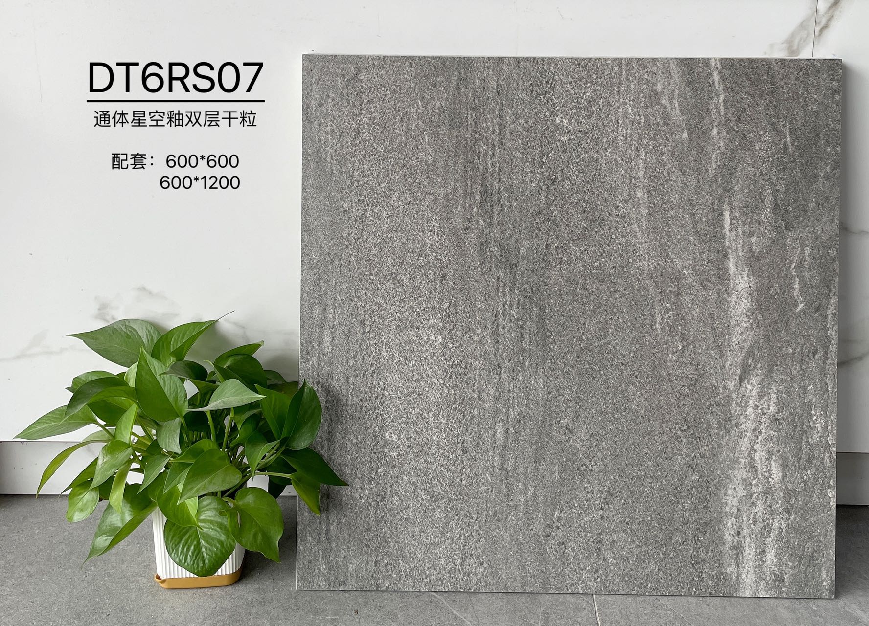 DT6RS07 | Two sizes |  Rustic Tile 1