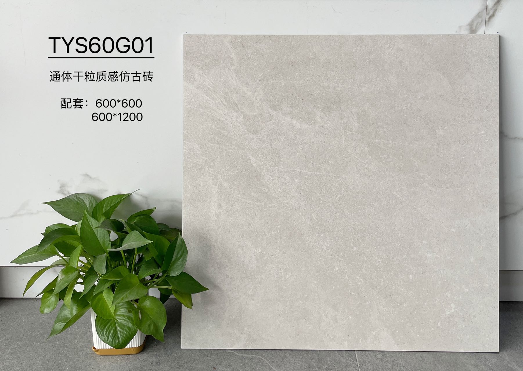 TYS60G01 | Two sizes |  Rustic Tile 1