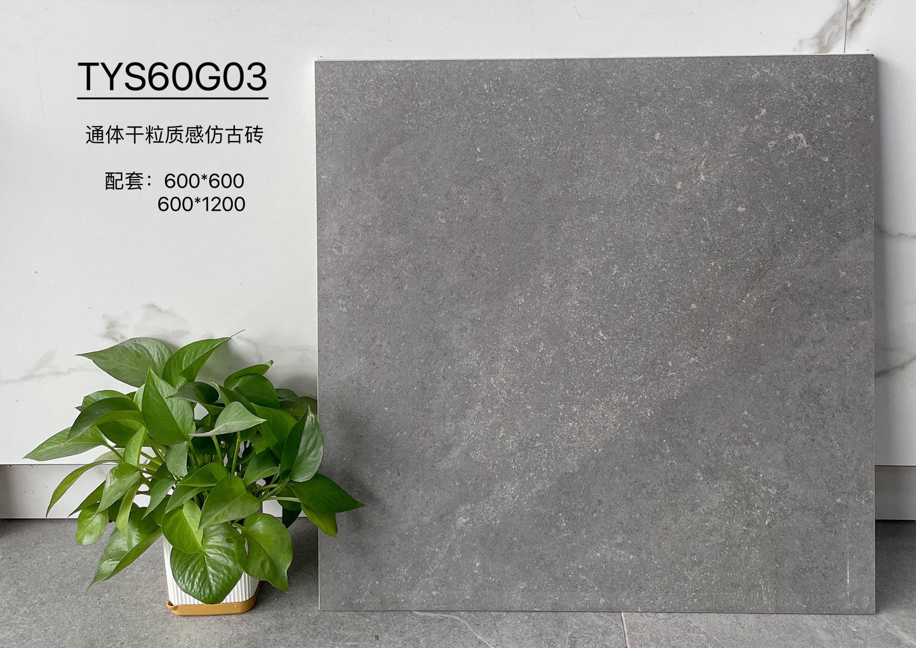 TYS60G03 | Two sizes |  Rustic Tile 1