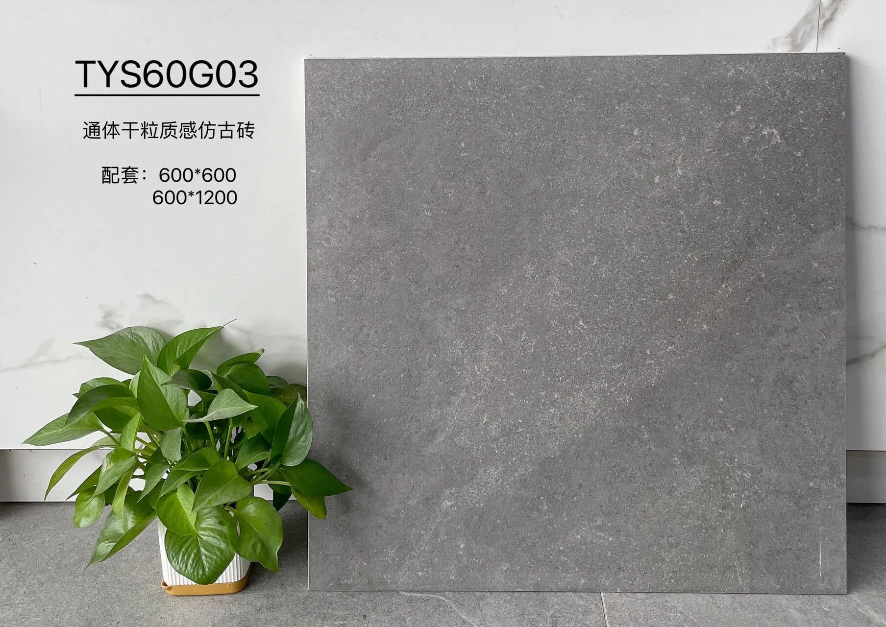 TYS60G03 | Два размера | Плитка в деревенском стиле 1