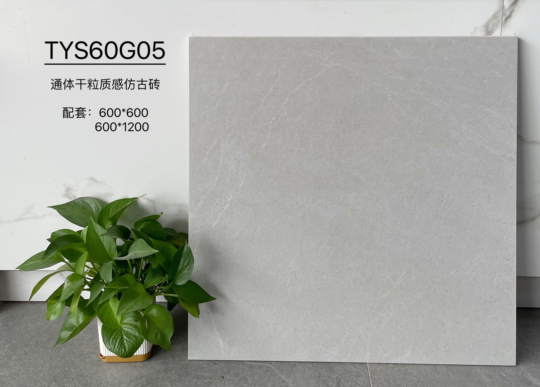 TYS60G05 | Two sizes |  Rustic Tile 1