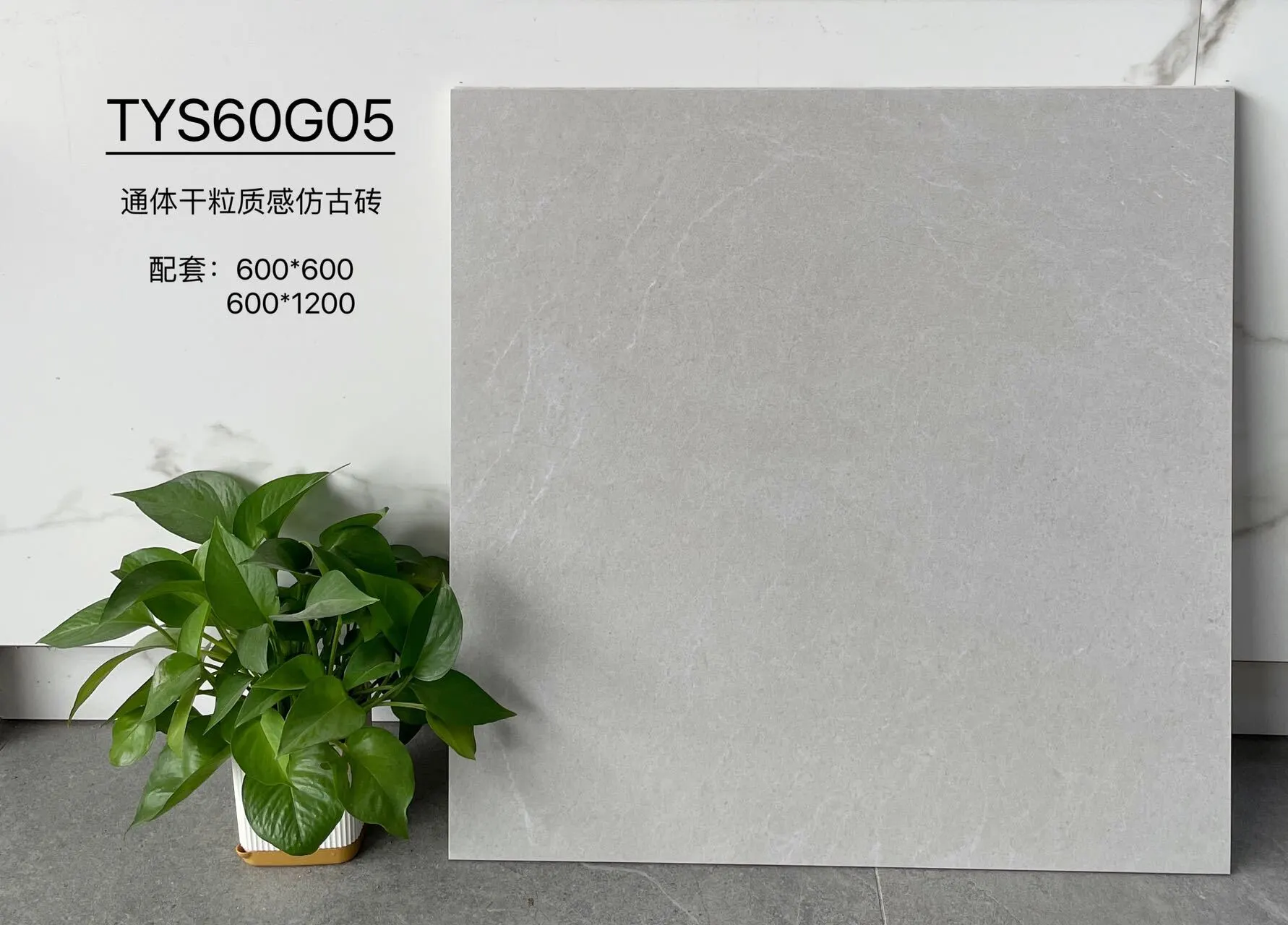 TYS60G05 | Два размера | Плитка в деревенском стиле 1