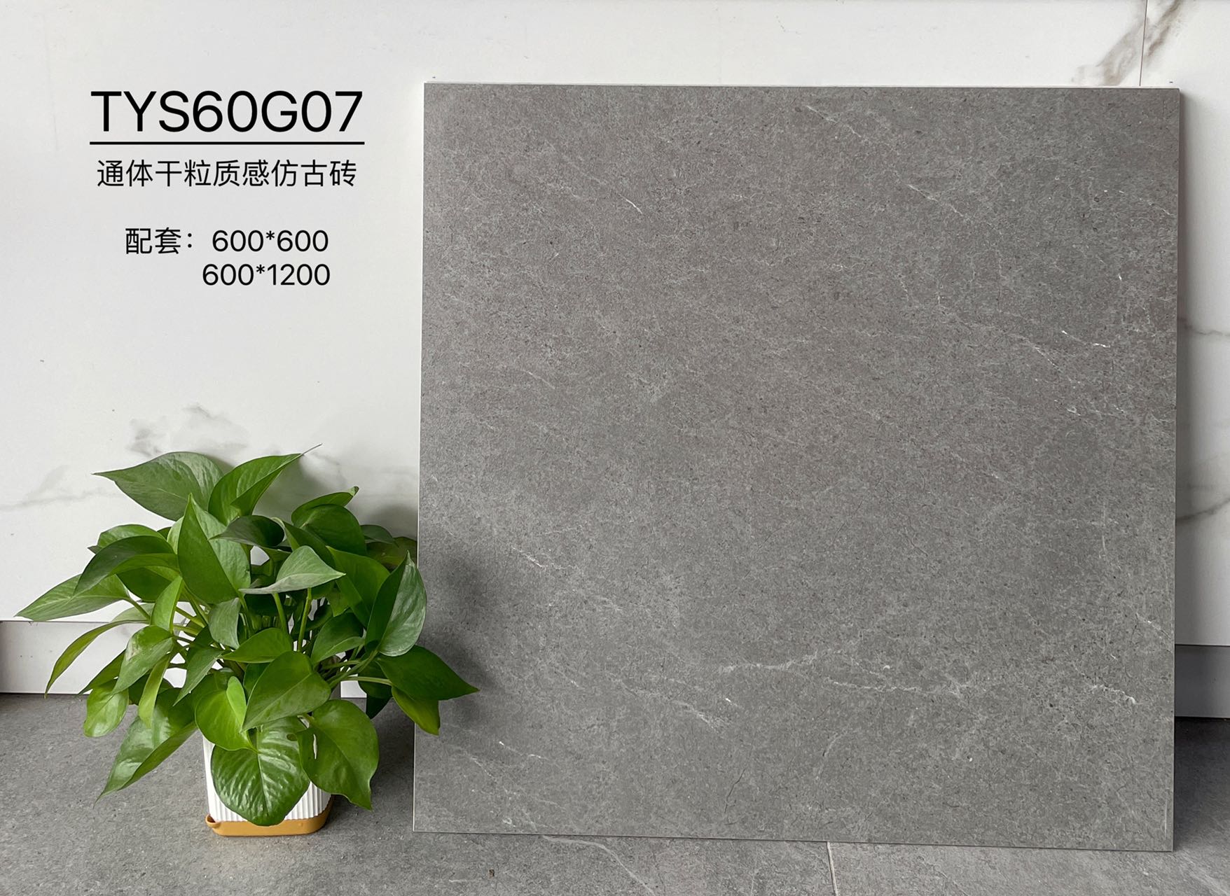 TYS60G07 | Deux formats | Carrelage rustique 1