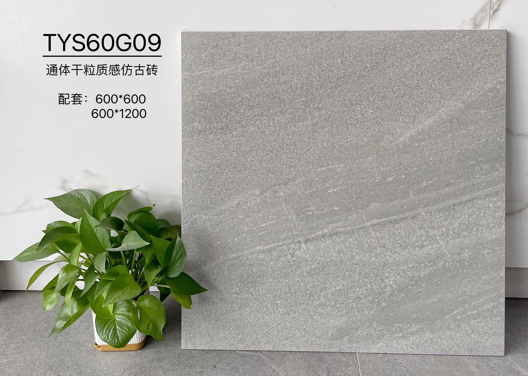 TYS60G09 | Deux formats | Carrelage rustique 1