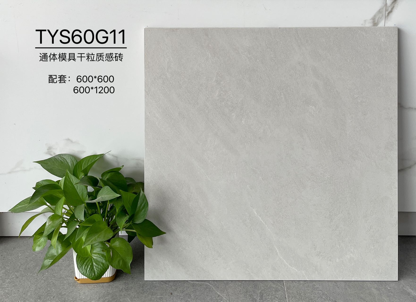 TYS60G11 | Two sizes |  Rustic Tile 1