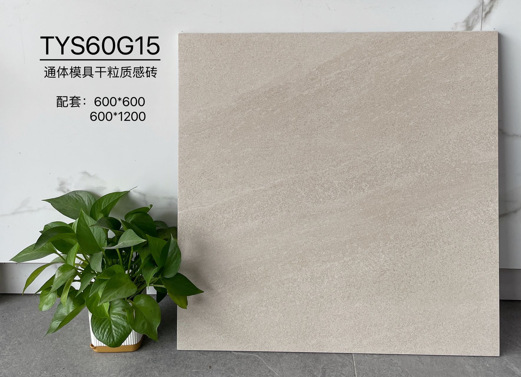 TYS60G15 | مقاسان | بلاط ريفي 1
