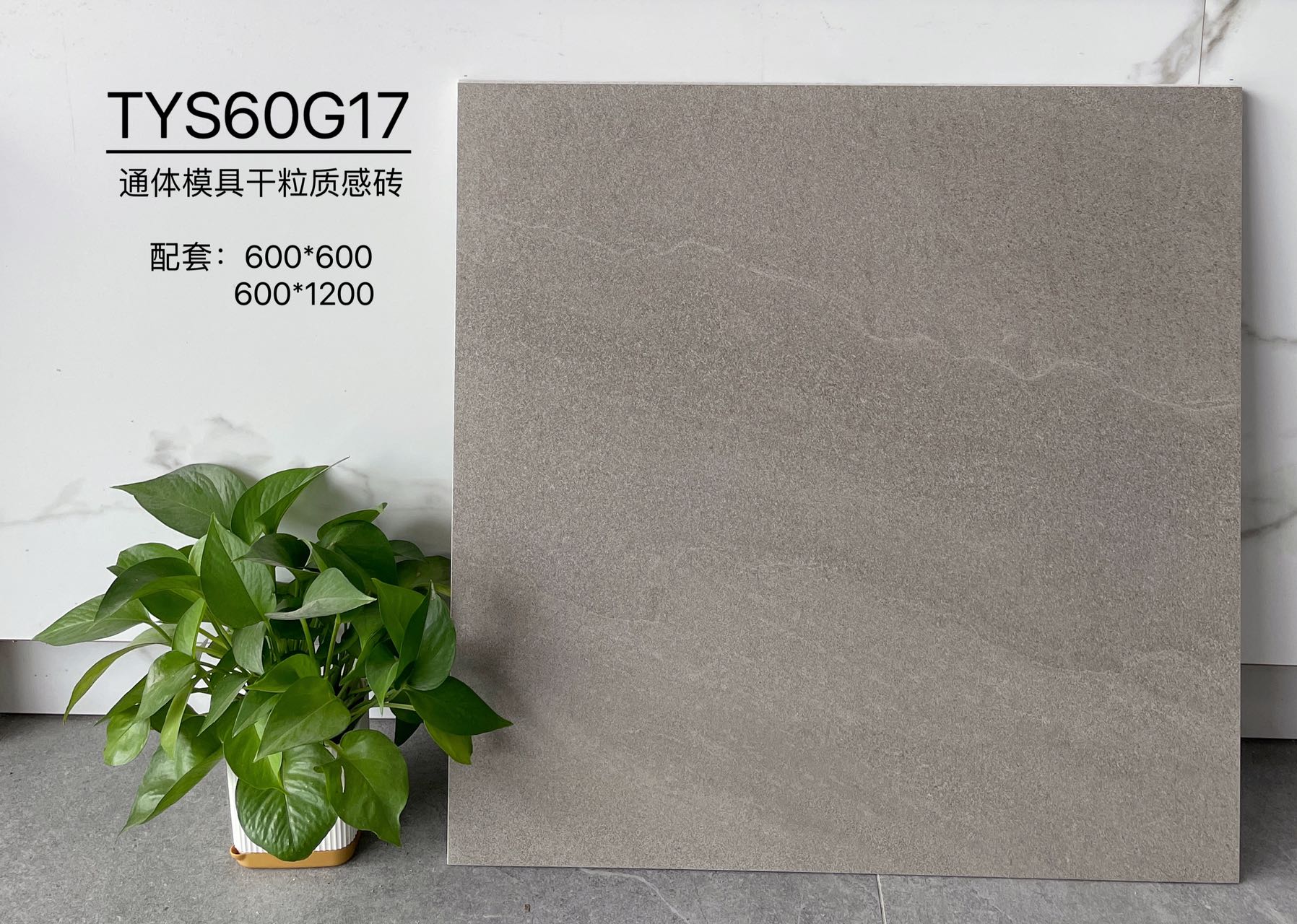 TYS60G17 | Deux formats | Carrelage rustique 1