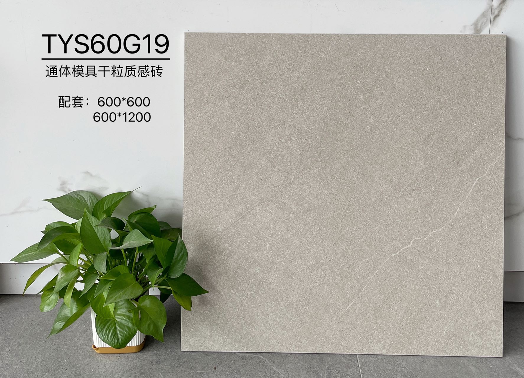 TYS60G19 | Deux formats | Carrelage rustique 1