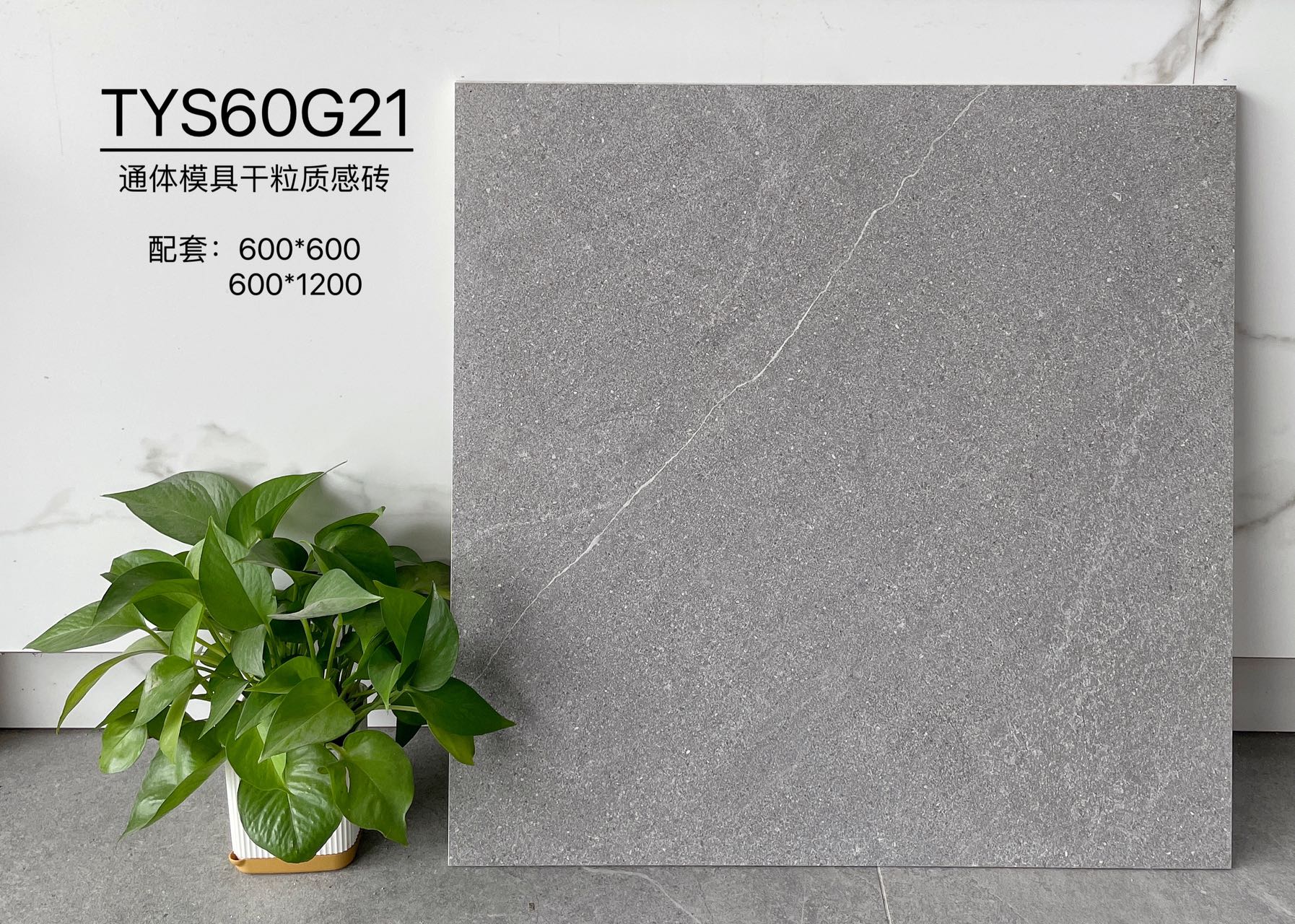 TYS60G21 | Deux formats | Carrelage rustique 1
