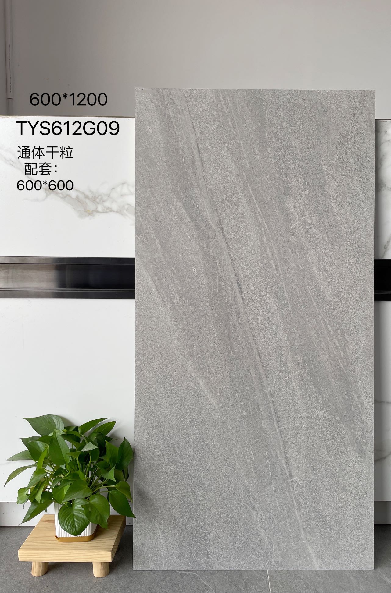 TYS612G09 | Deux formats | Carrelage rustique 2