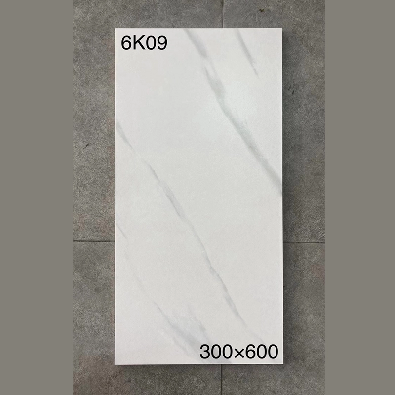 6K09 | 300x600 мм | Матовая 1