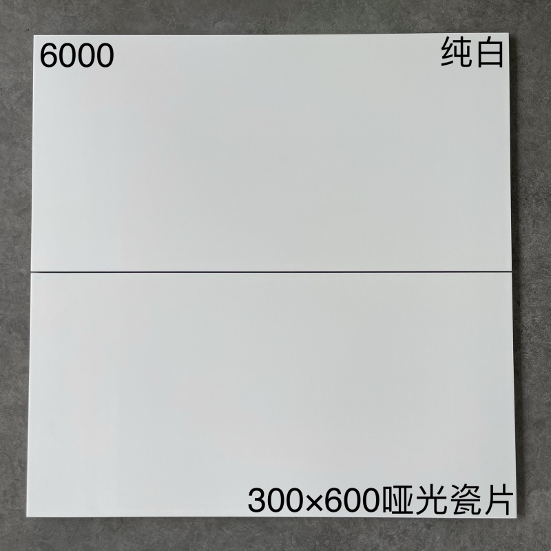 6000 | 300x600mm | Matte 1
