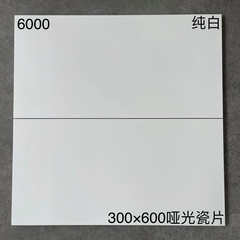 6000 | 300x600mm | Mate 1