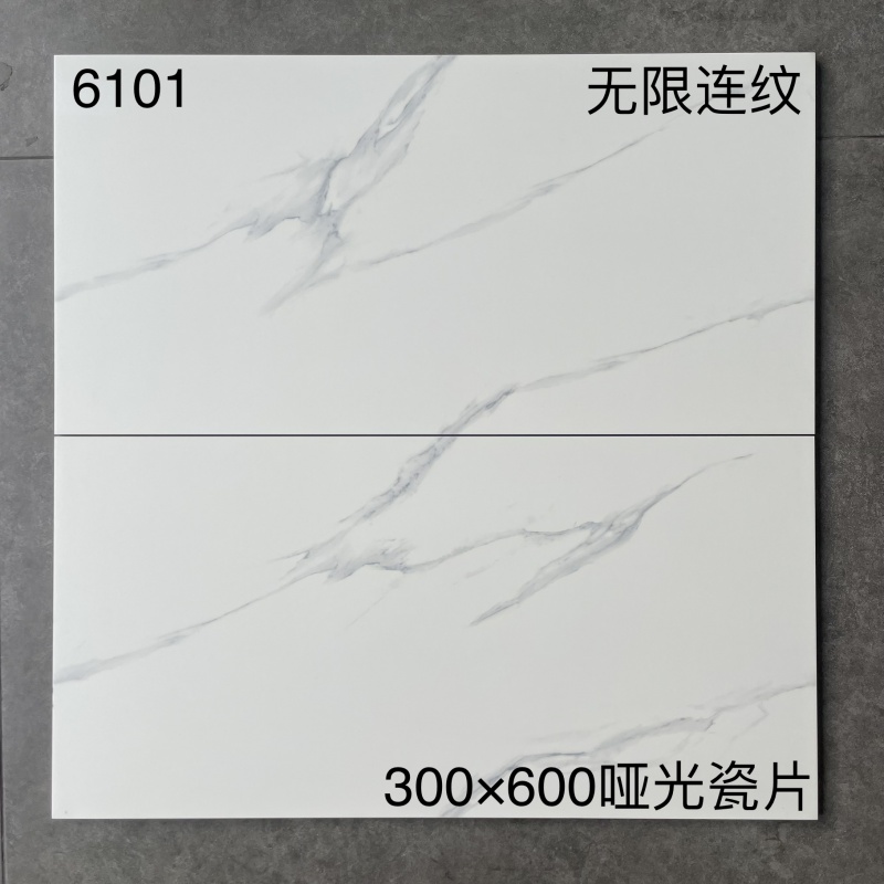 6101 | 300x600mm | Matte 1