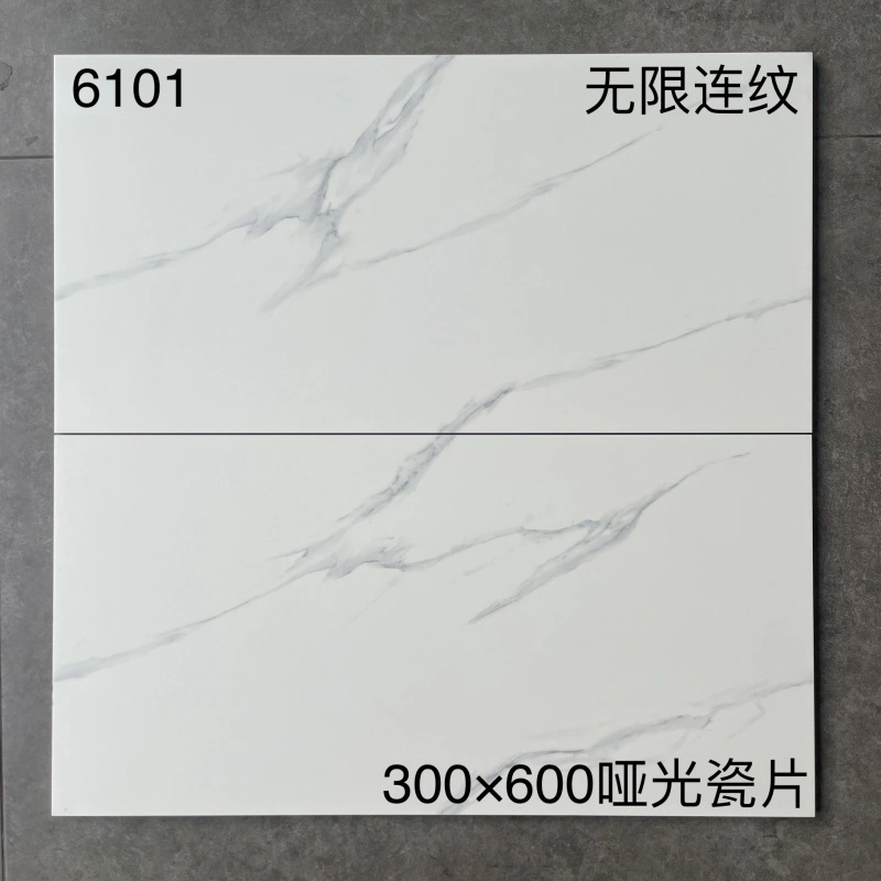 6101 | 300 × 600 مم | مطفي 1