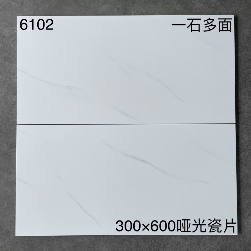 6102 | 300x600mm | Matte 1