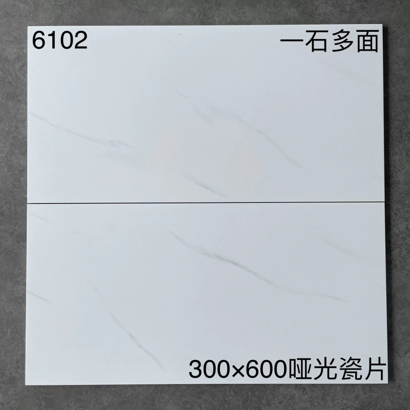 6102 | 300 x 600 mm | Mat 1